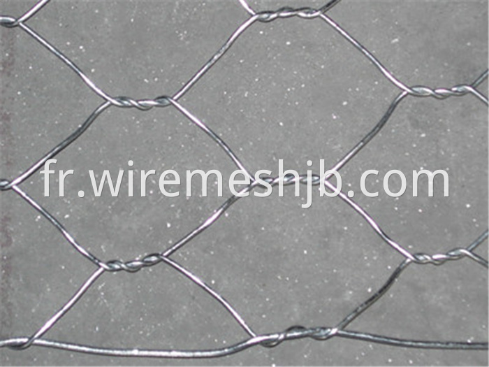 Hexagonal Decorative Mesh